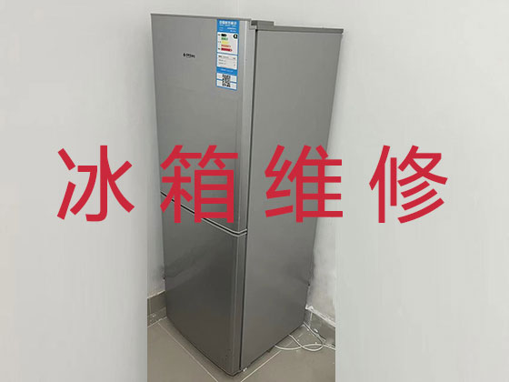 北京冰箱冰柜维修上门服务